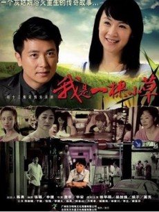 我是一棵小草海报