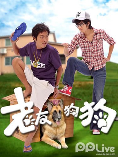 老友狗狗