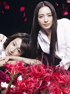 美丽邻居/美丽的邻居/邻家美人/邻居美人